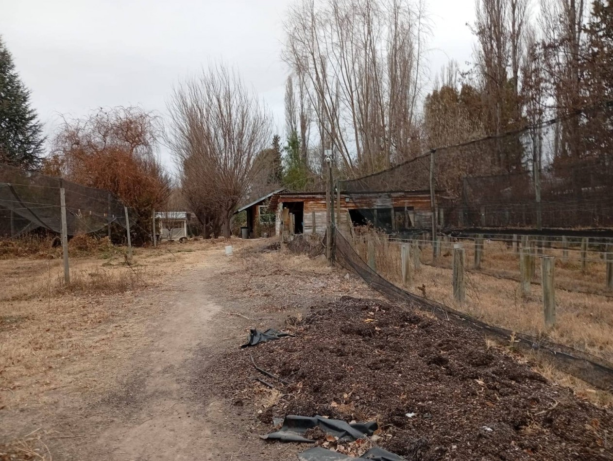 Propiedad en Villa 25 de Mayo: casa con amplio terreno