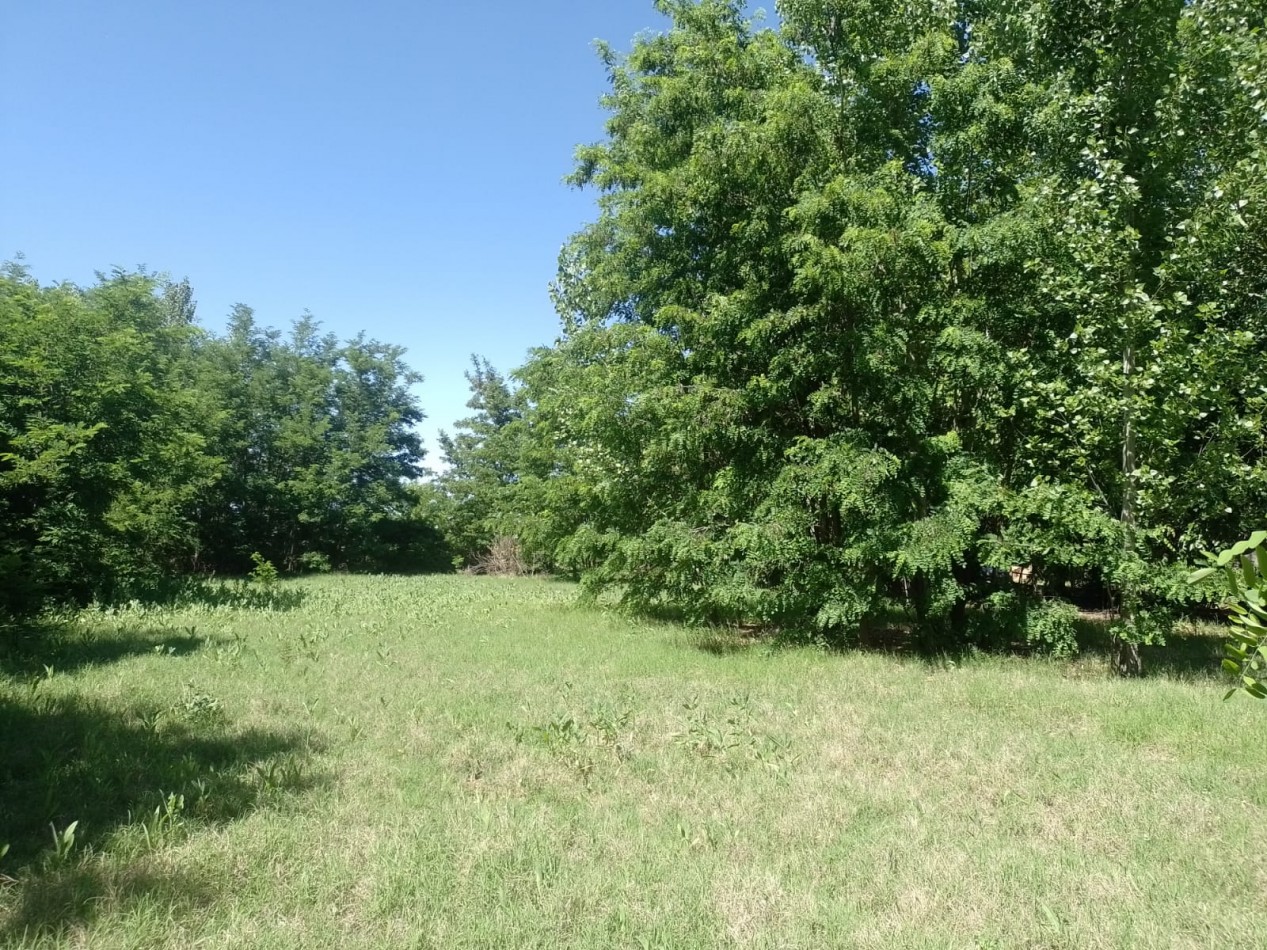 PROPIEDAD EN EL DISTRITO DE JAIME PRATS