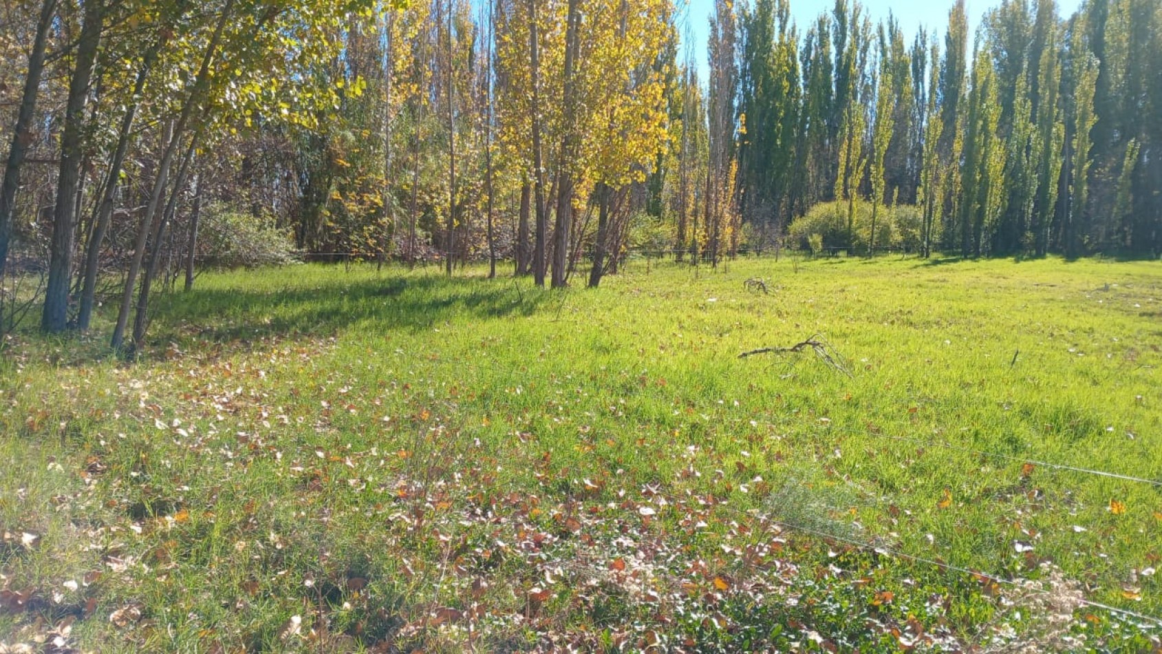 PROPIEDAD EN EL DISTRITO DE JAIME PRATS
