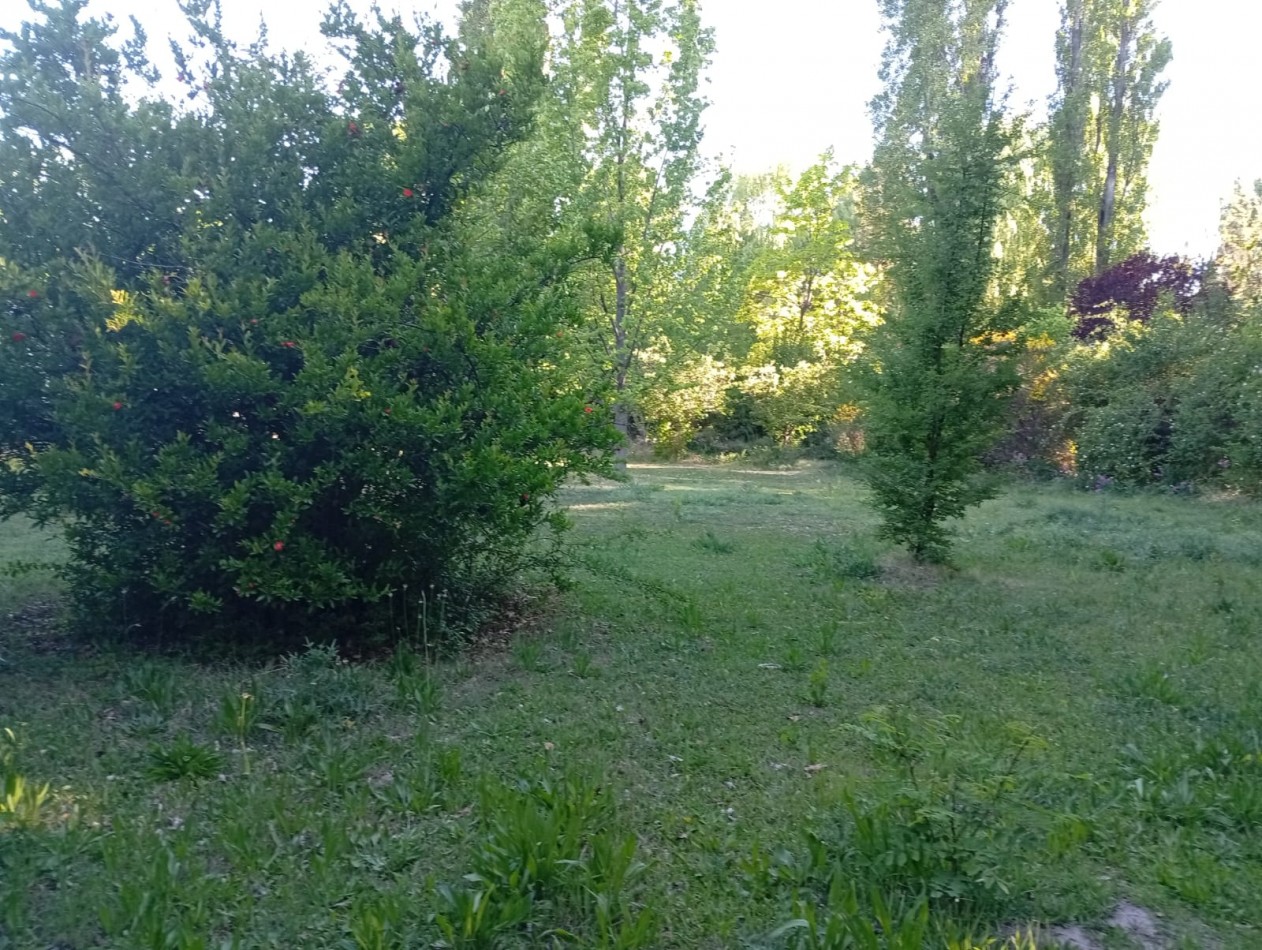 Propiedad en Villa 25 de Mayo: casa con amplio terreno