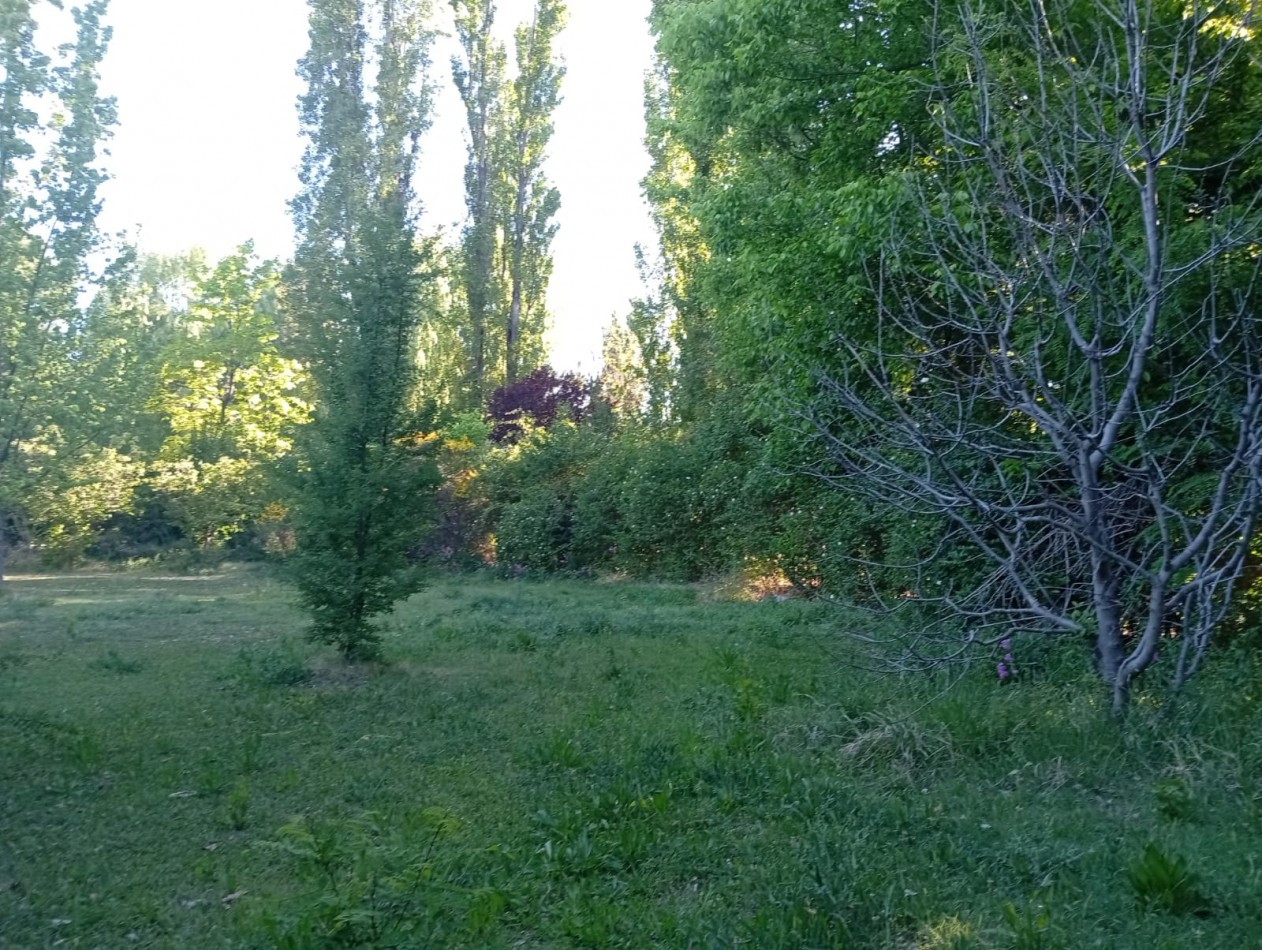 Propiedad en Villa 25 de Mayo: casa con amplio terreno