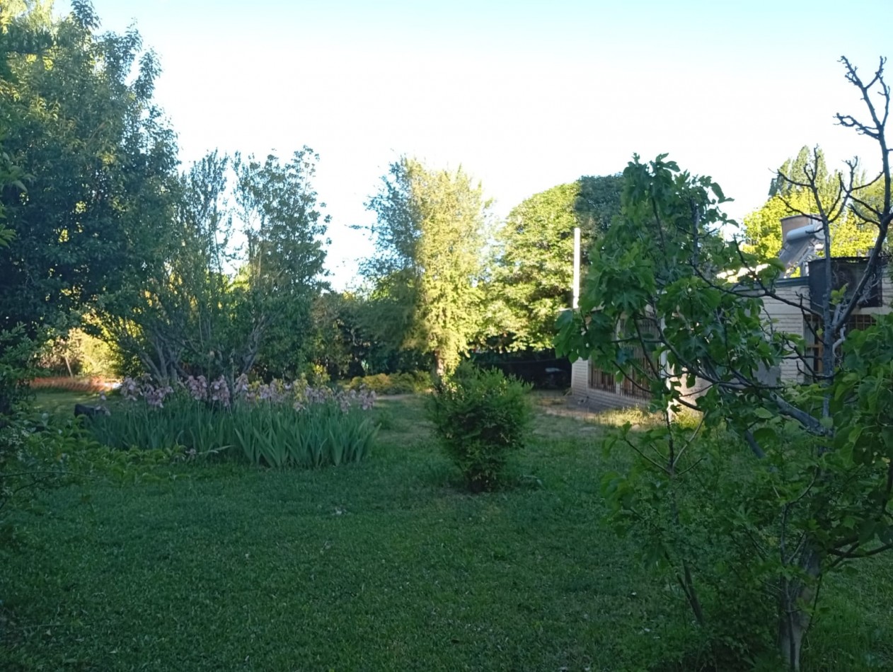 Propiedad en Villa 25 de Mayo: casa con amplio terreno