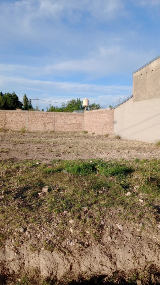 Lote en venta en calle Ricardo Rojas 