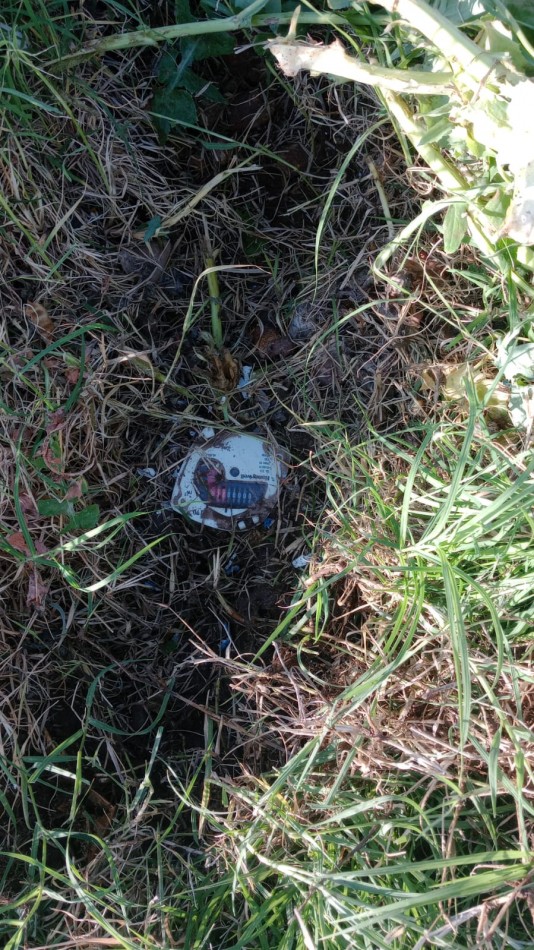 Lote en venta en calle Ricardo Rojas 