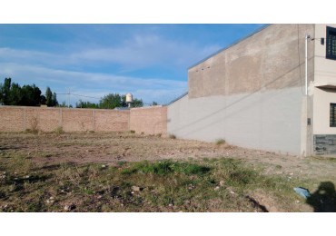 Lote en venta en calle Ricardo Rojas 